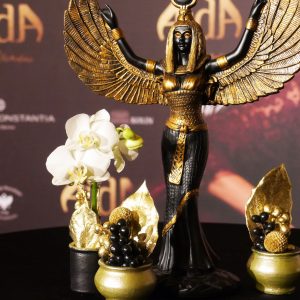 "Aida" - Präsentation
